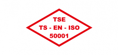 TSE 50001
