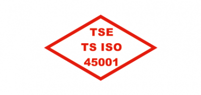 TSE 45001